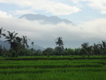 DSC00316