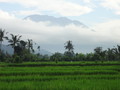 DSC00317