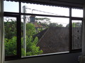 DSC00323