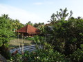 DSC00325