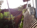 DSC00327