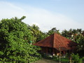 DSC00328