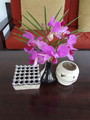 DSC00331
