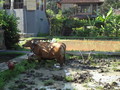 DSC00337