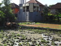 DSC00338
