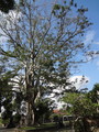 DSC00341