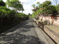 DSC00342