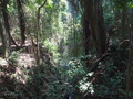 DSC00345
