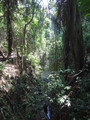 DSC00346