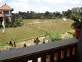 DSC00351
