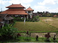 DSC00352