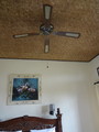 DSC00355