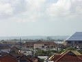 DSC00384