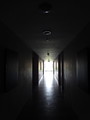 DSC00388