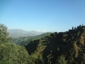 DSC00428