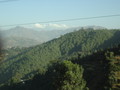 DSC00429