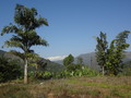 DSC00437