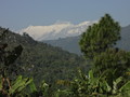 DSC00438