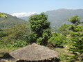 DSC00441