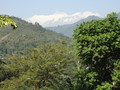 DSC00442