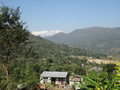 DSC00444