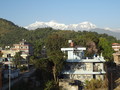 DSC00446