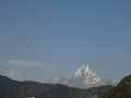 DSC00453
