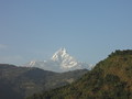 DSC00455