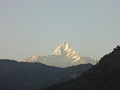 DSC00460
