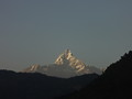 DSC00461
