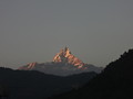 DSC00477