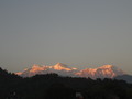 DSC00478