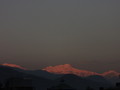 DSC00482