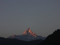 DSC00484