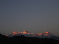 DSC00485