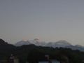 DSC00494