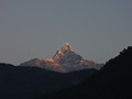 DSC00501