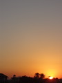 DSC00509