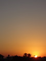DSC00510