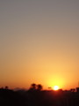 DSC00511