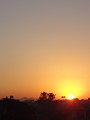 DSC00512