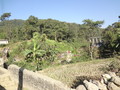 DSC00516