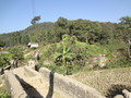 DSC00517