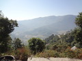 DSC00519