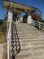 DSC00520