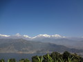 DSC00524