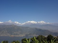 DSC00525