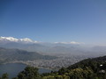 DSC00529