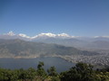 DSC00530