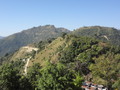 DSC00535